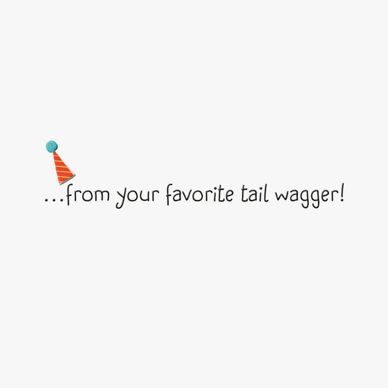 Hallmark To My Favorite Ear Scratcher Birthday Card From Dog
