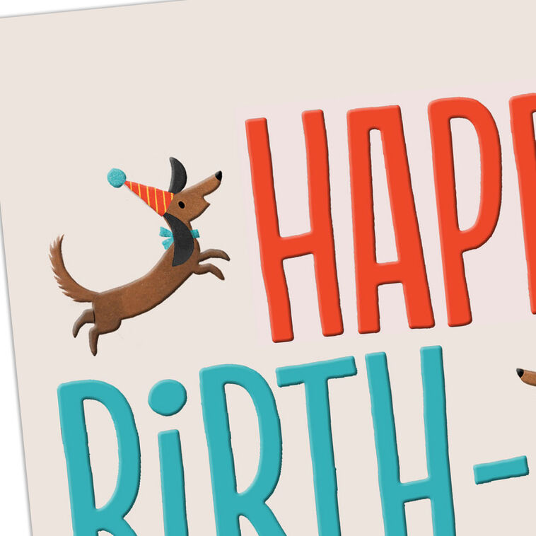 Hallmark To My Favorite Ear Scratcher Birthday Card From Dog