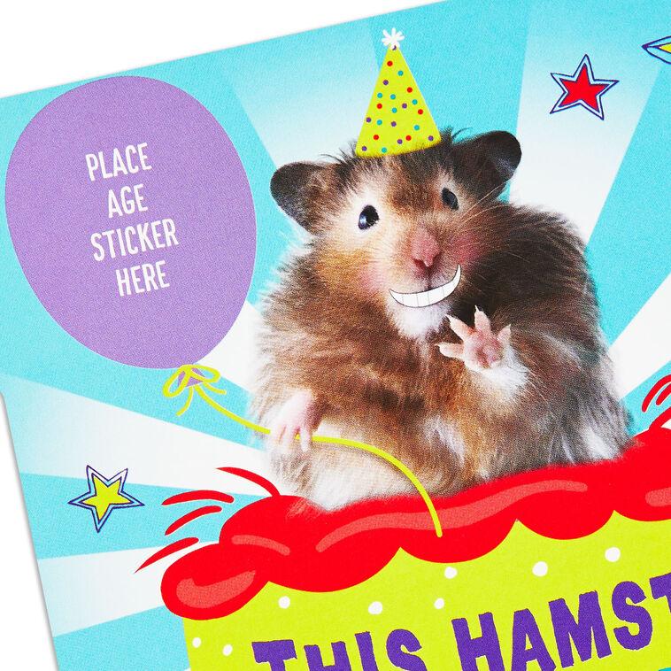 Hallmark Tooting Hamster Customizable Kids Funny Birthday Card With Age Stickers