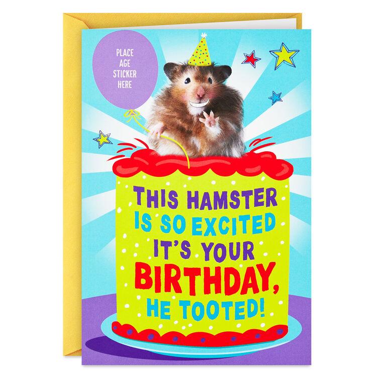 hallmark Tooting Hamster Customizable Kids Funny Birthday Card With Age Stickers