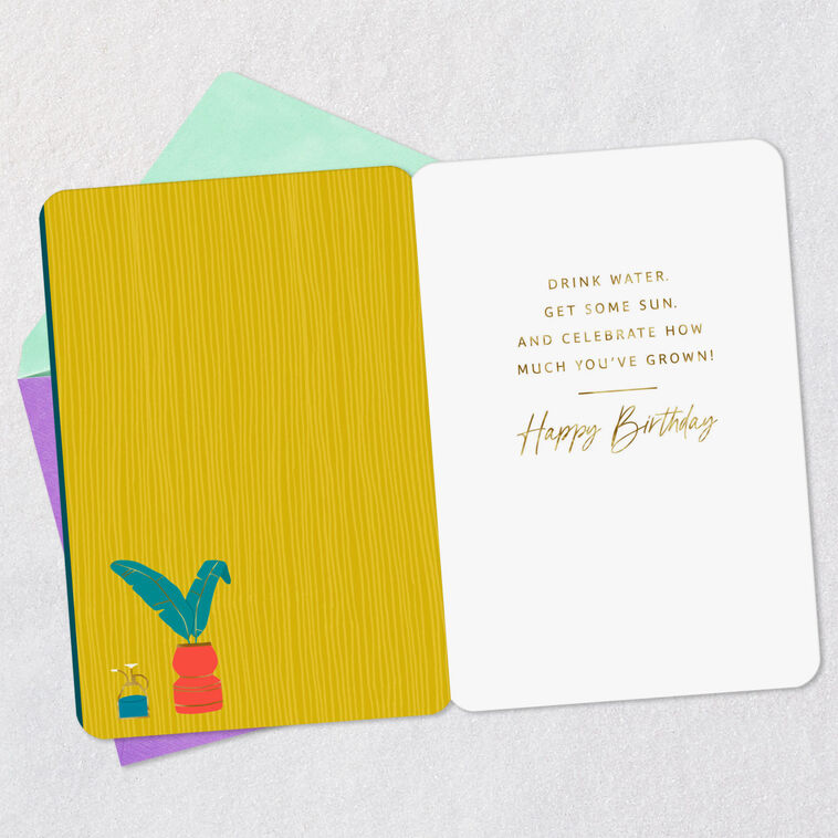Hallmark Treat Yourself Like A Plant Funny Birthday Card