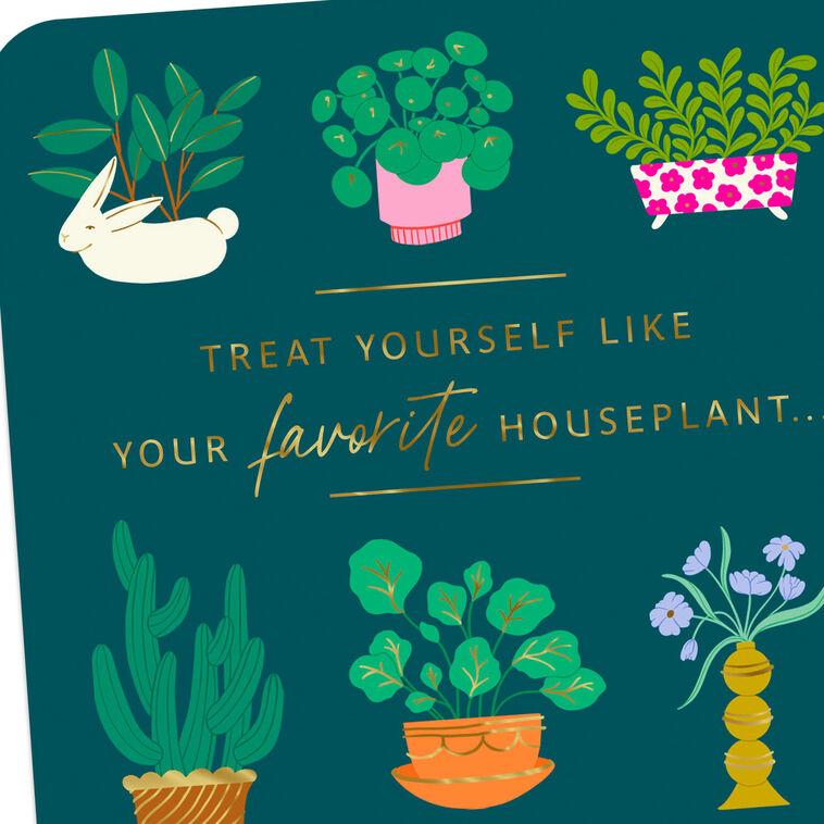 Hallmark Treat Yourself Like A Plant Funny Birthday Card