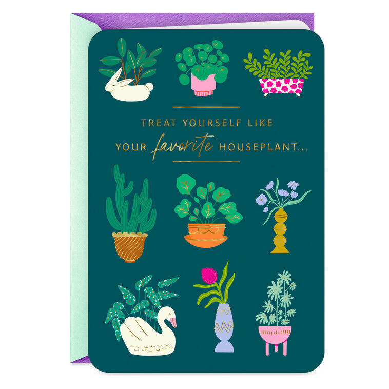 hallmark Treat Yourself Like a Plant Funny Birthday Card