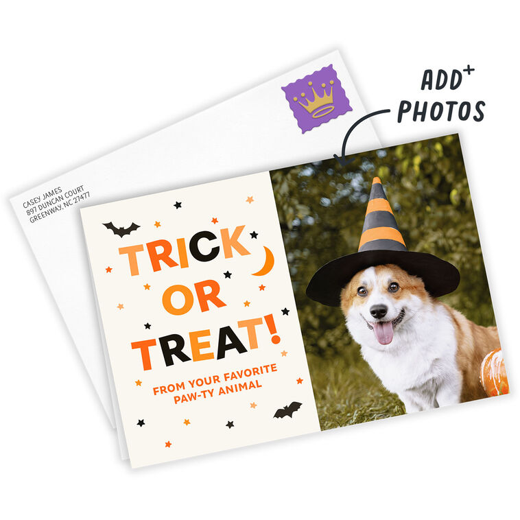 Hallmark Trick Or Treat Paw-ty Animal Custom Halloween Card