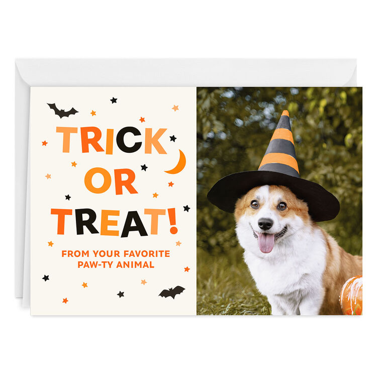 hallmark Trick or Treat Paw-ty Animal Custom Halloween Card