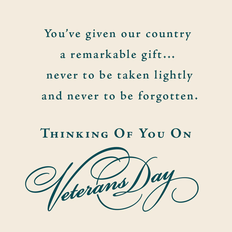 Hallmark U.S. Air Force Thank You For Your Service Veterans Day Card