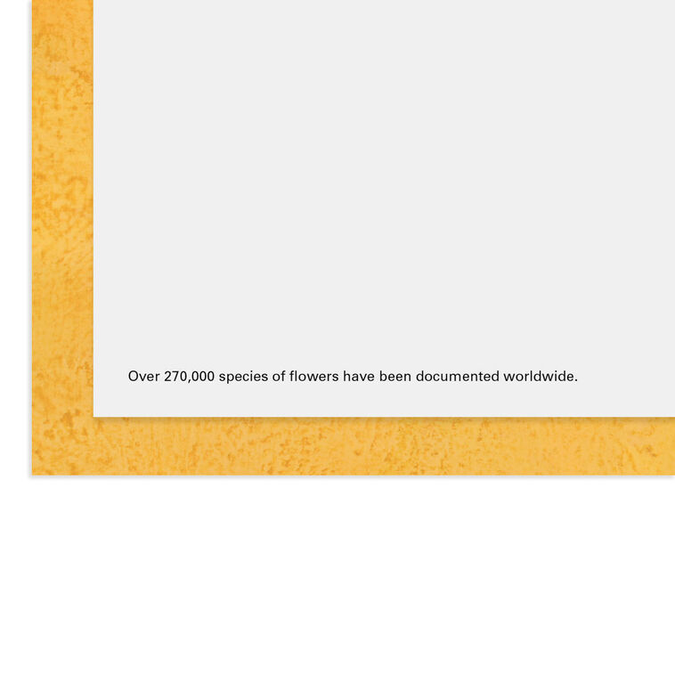 Hallmark UNICEF Flowers All Kinds Of Happy Birthday Card