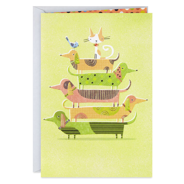 hallmark UNICEF Pet Pyramid Birthday Card for Friend