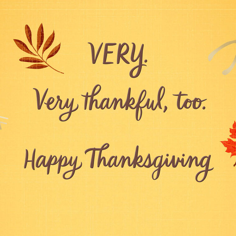 Hallmark Very Lucky And Thankful Thanksgiving Card For Family