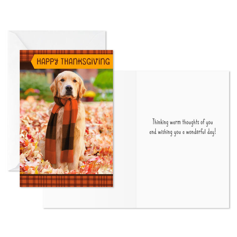 Hallmark Warm Thoughts Of You Thanksgiving Cards Pack Of 6