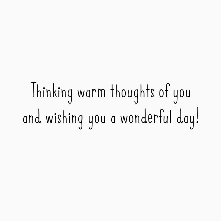 Hallmark Warm Thoughts Of You Thanksgiving Cards Pack Of 6