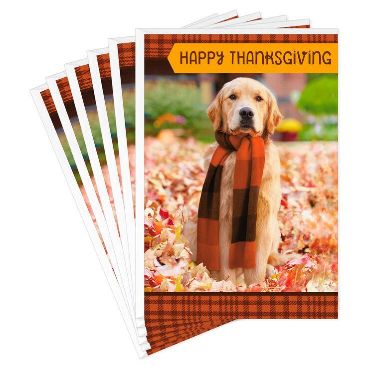 hallmark Warm Thoughts of You Thanksgiving Cards Pack of 6
