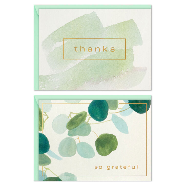 Hallmark Watercolor Eucalyptus Assorted Blank Thank-You Notes Pack Of 40