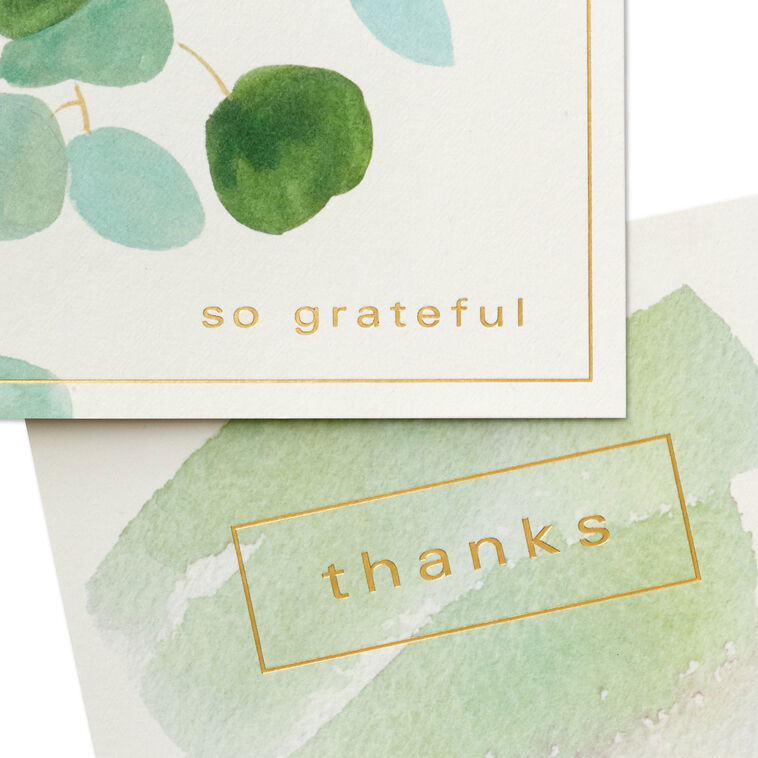 Hallmark Watercolor Eucalyptus Assorted Blank Thank-You Notes Pack Of 40
