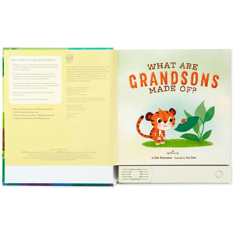 Hallmark What Are Grandsons Made Of? Recordable Storybook