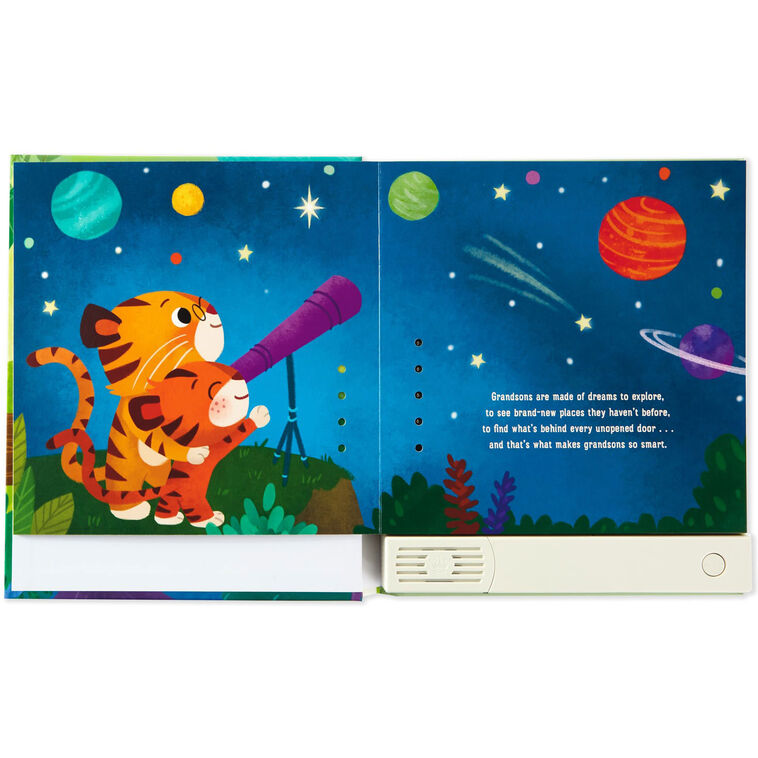 Hallmark What Are Grandsons Made Of? Recordable Storybook