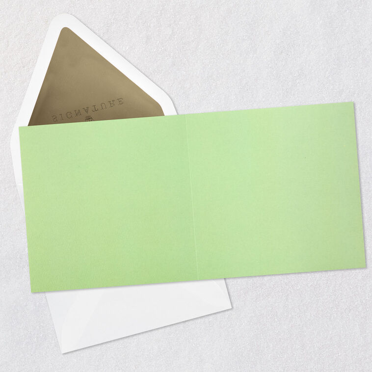 Hallmark White Tropical Leaves On Mint Green Blank Card