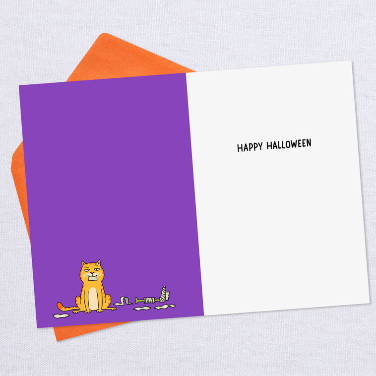 Hallmark Why Mummies Don't Own Cats Funny Halloween Card