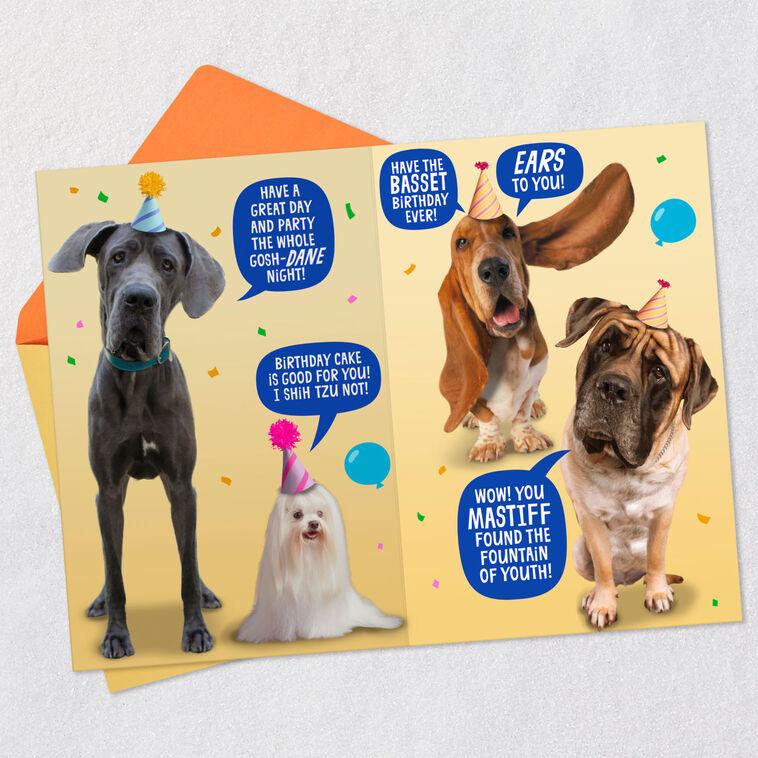 Hallmark Wishing You A Treat-Filled Celebration Funny Birthday Card