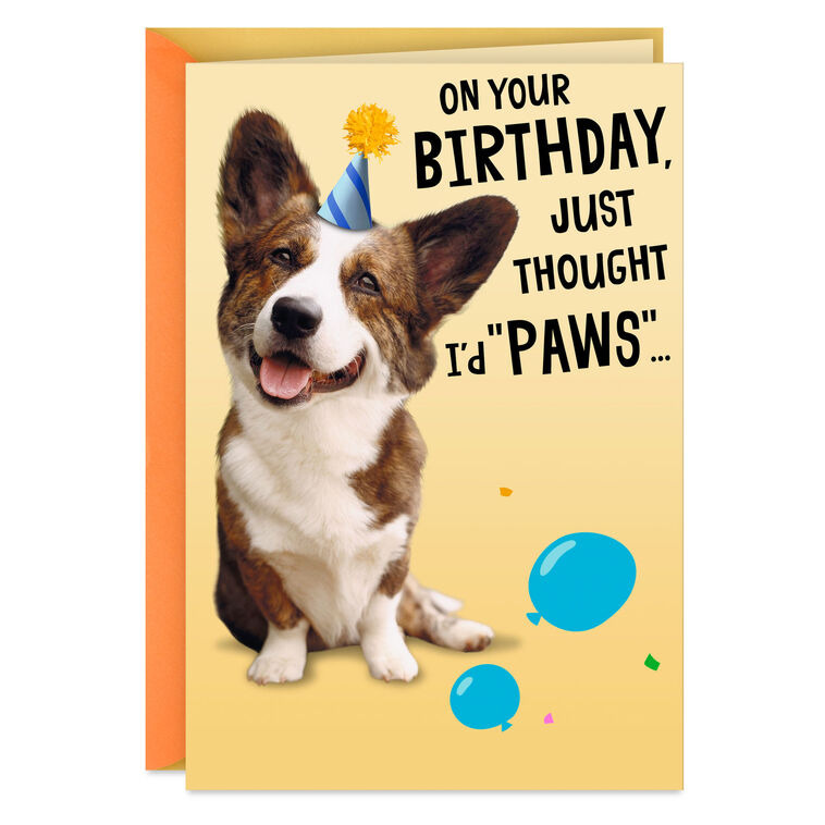hallmark Wishing You a Treat-Filled Celebration Funny Birthday Card