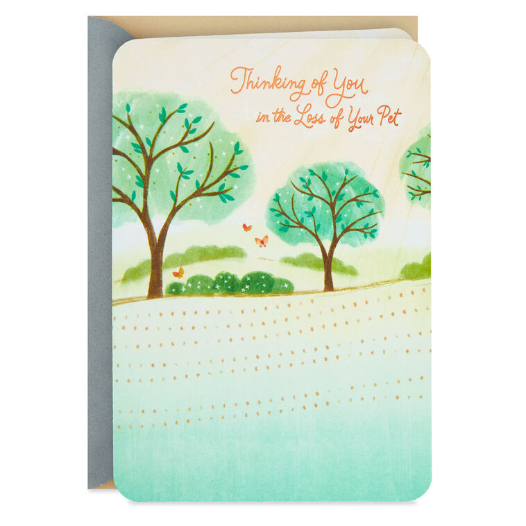 hallmark Wishing You Peace and Comfort Sympathy Card for Loss of Pet