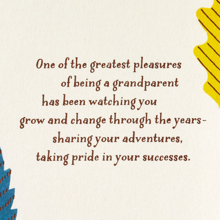 Hallmark Wishing You The Best In Life Birthday Card For Grandson
