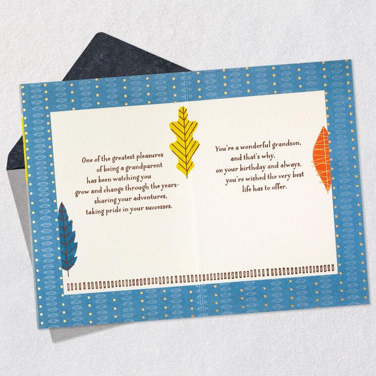 Hallmark Wishing You The Best In Life Birthday Card For Grandson