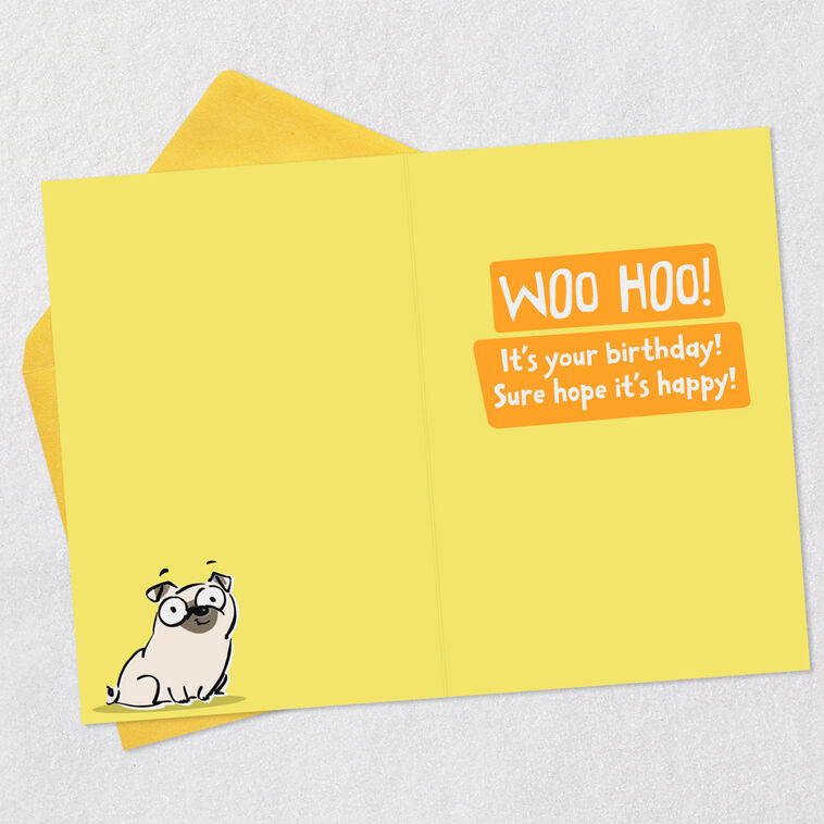 Hallmark Woo Hoo Knock Knock Joke Funny Birthday Card