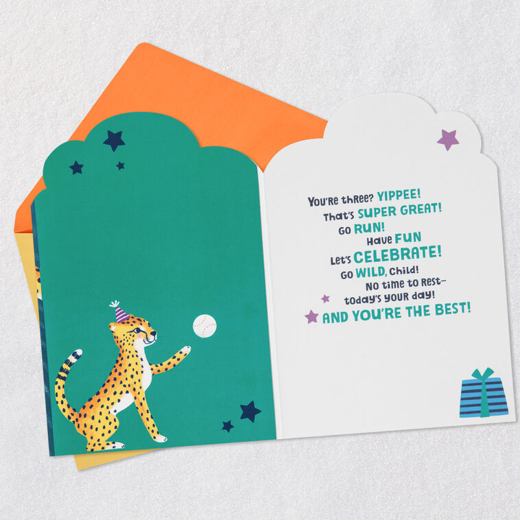 Hallmark Yippee You're 3 Sporty Cheetahs 3rd Birthday Card