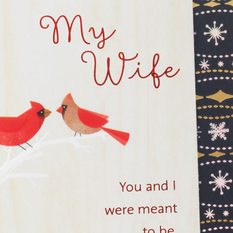 Hallmark You And I Were Meant To Be Christmas Card For Wife