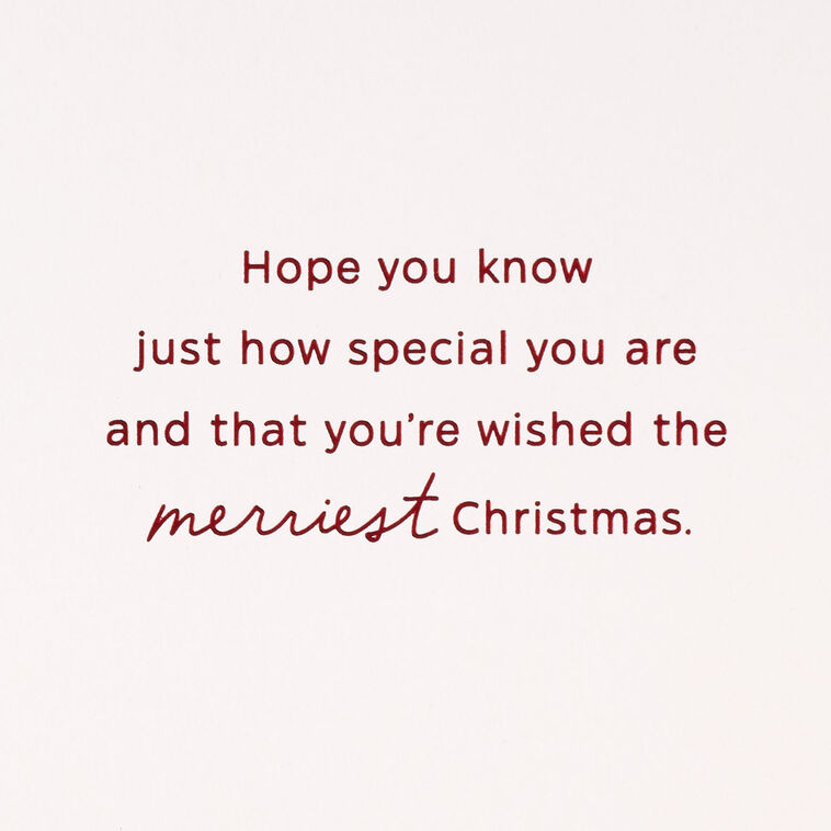 Hallmark You Are Special Christmas Card For Sister And Brother-in-Law