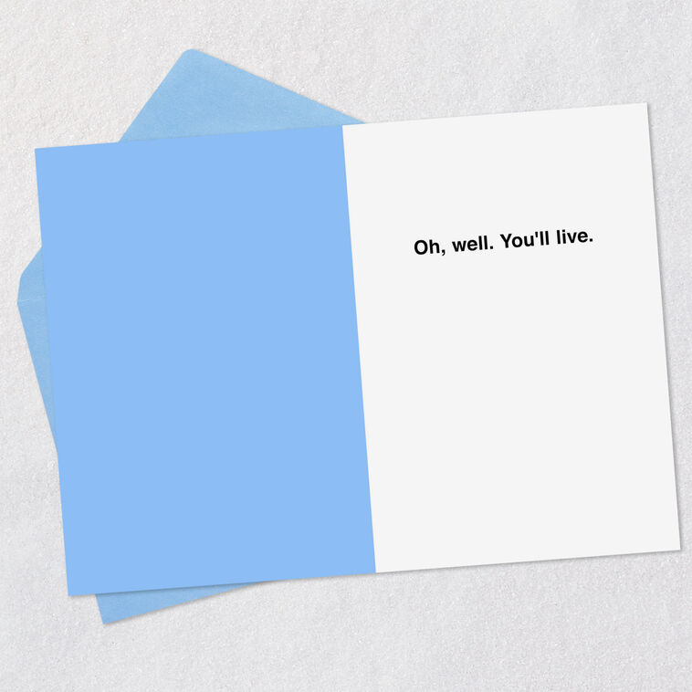 Hallmark You Deserve More Than A Card Funny Birthday Card For Brother