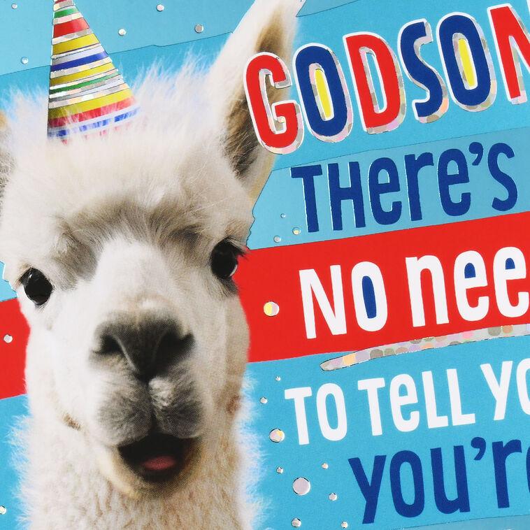 Hallmark You're Made In God's Image Llama Birthday Card For Godson