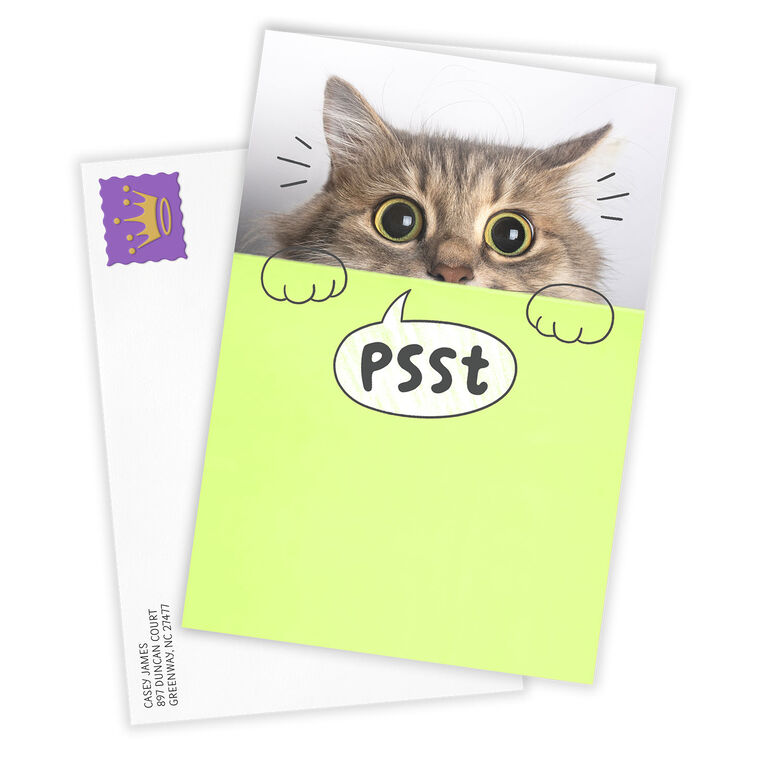 Hallmark You're Mind Boggling Peeking Cat Custom Card