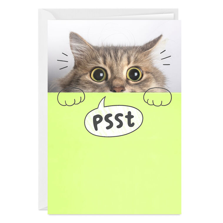 hallmark You're Mind Boggling Peeking Cat Custom Card