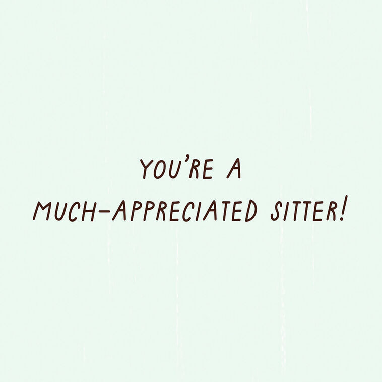Hallmark You're Much Appreciated Thank You Card For Pet Sitter