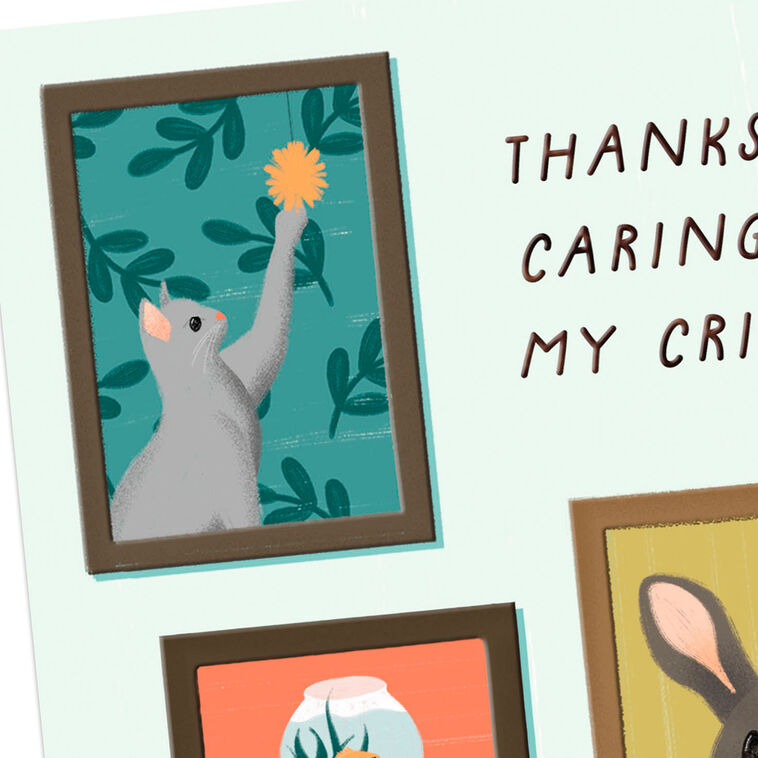 Hallmark You're Much Appreciated Thank You Card For Pet Sitter