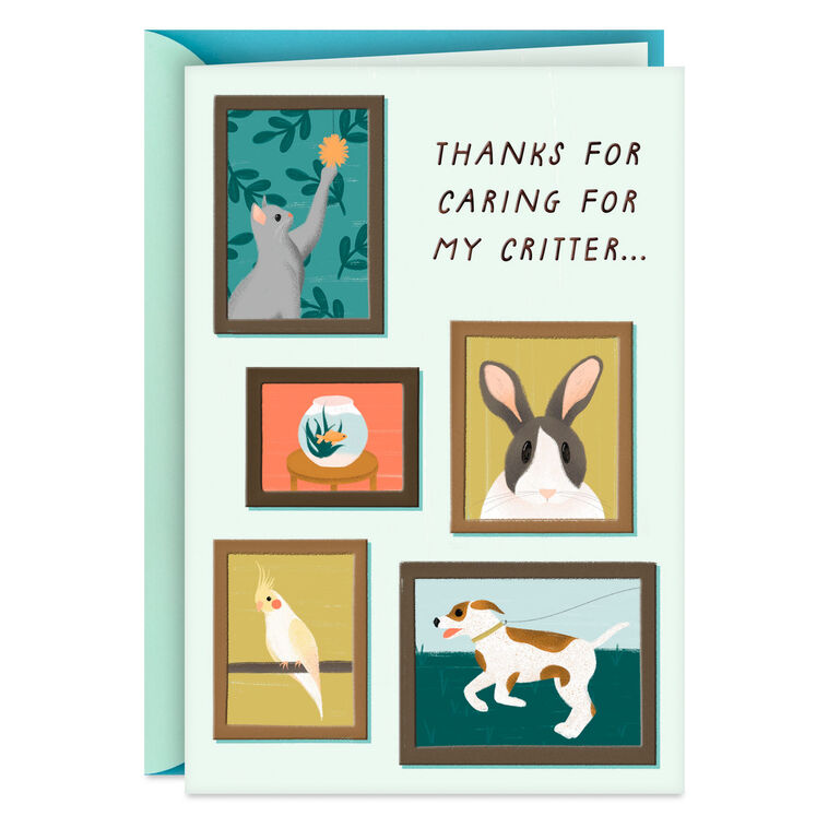 hallmark You're Much Appreciated Thank You Card for Pet Sitter