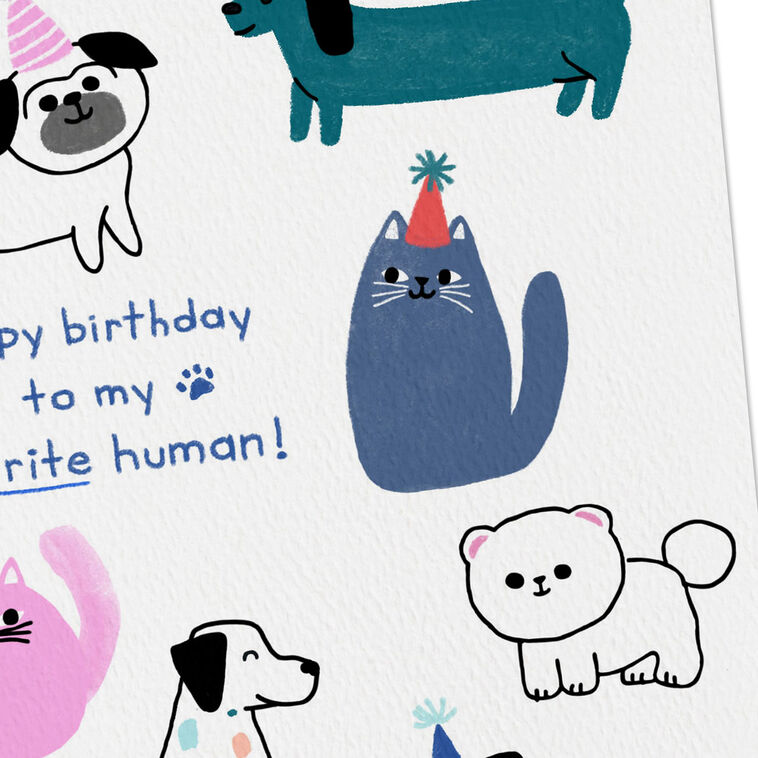 Hallmark You're My Favorite Human Blank Birthday Card