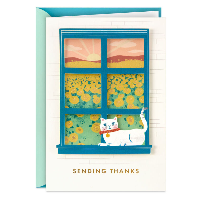hallmark You're So Easy to Appreciate Thank You Card