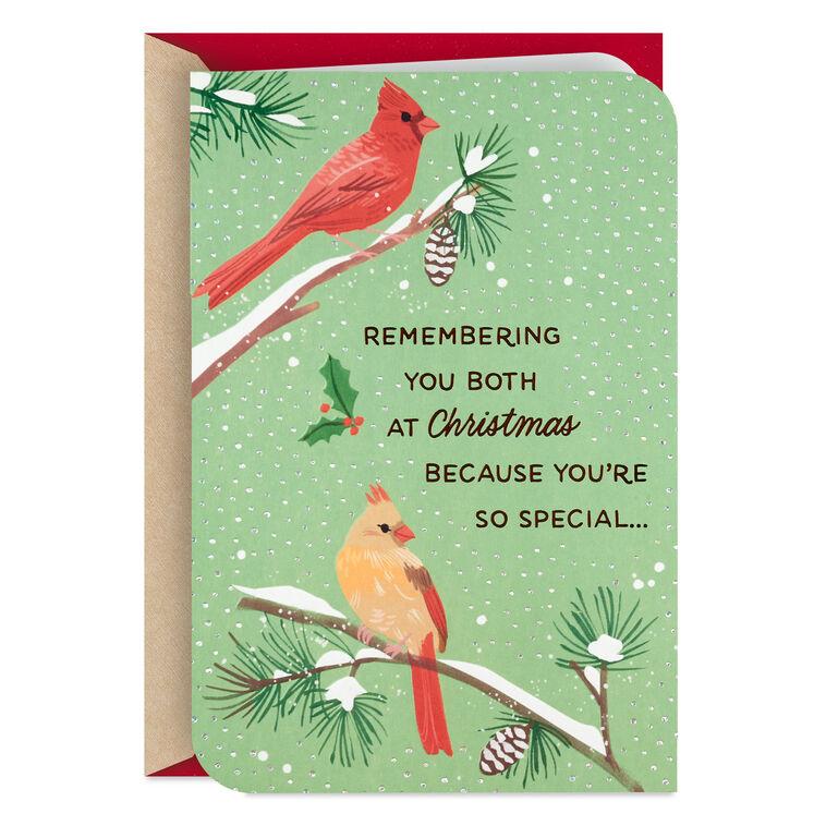 hallmark You're So Special Cardinals Christmas Card for Both