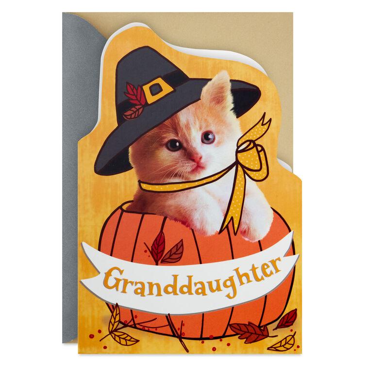 hallmark You're the Sweetest Blessing of All Thanksgiving Card for Granddaughter