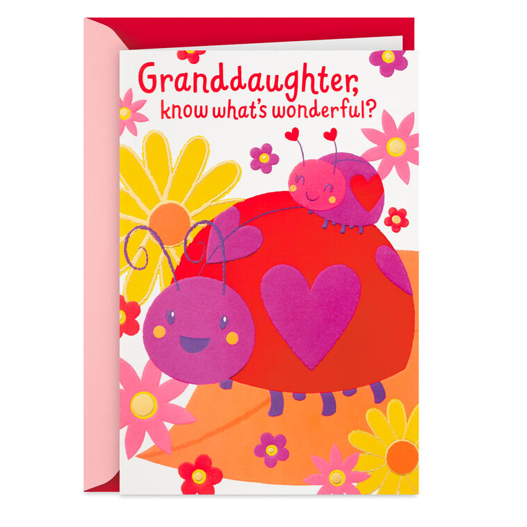 hallmark You're Wonderful Valentine's Day Card for Granddaughter
