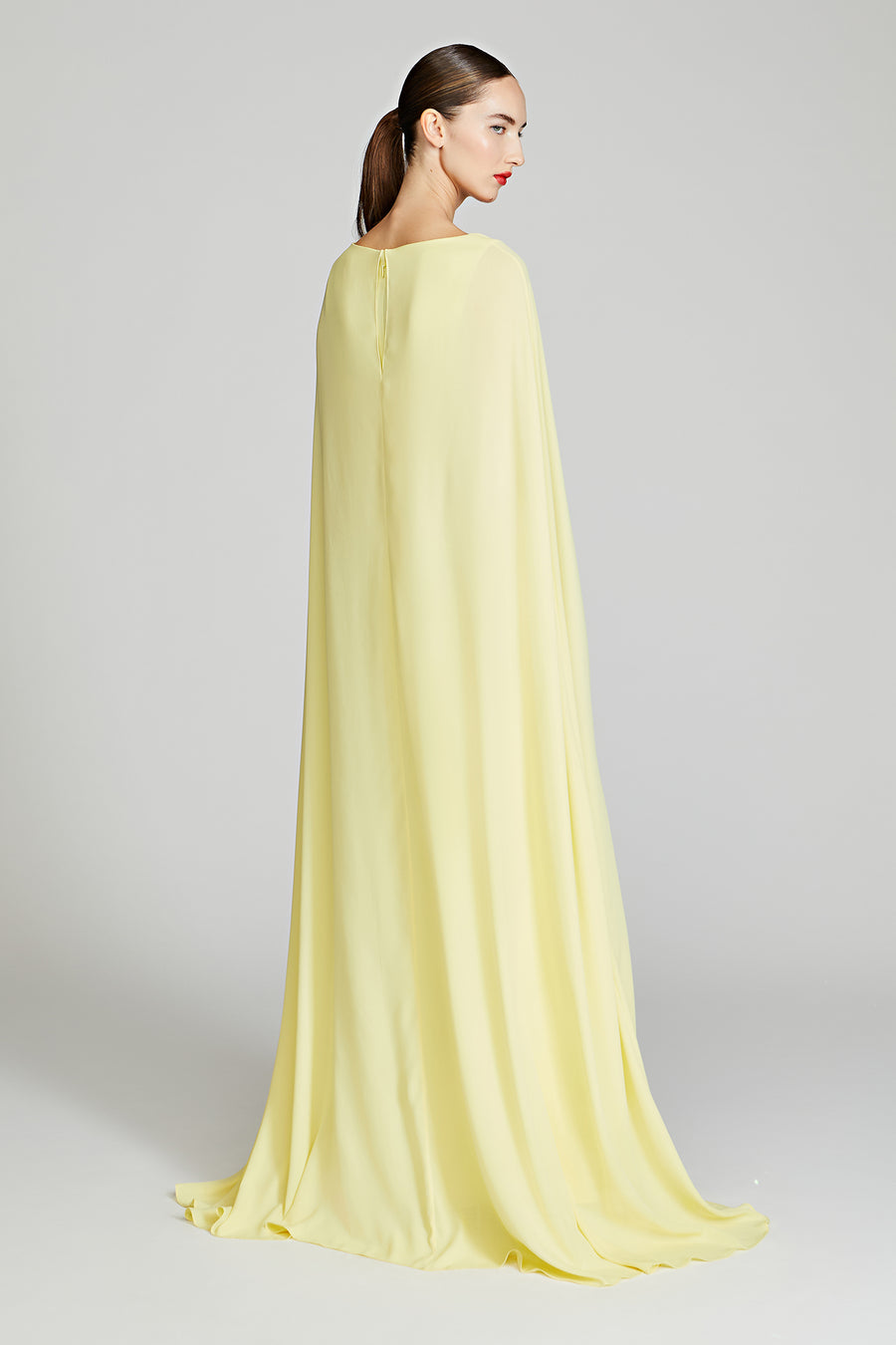 Halston Heritage Alma Crepe With Georgette Gown
