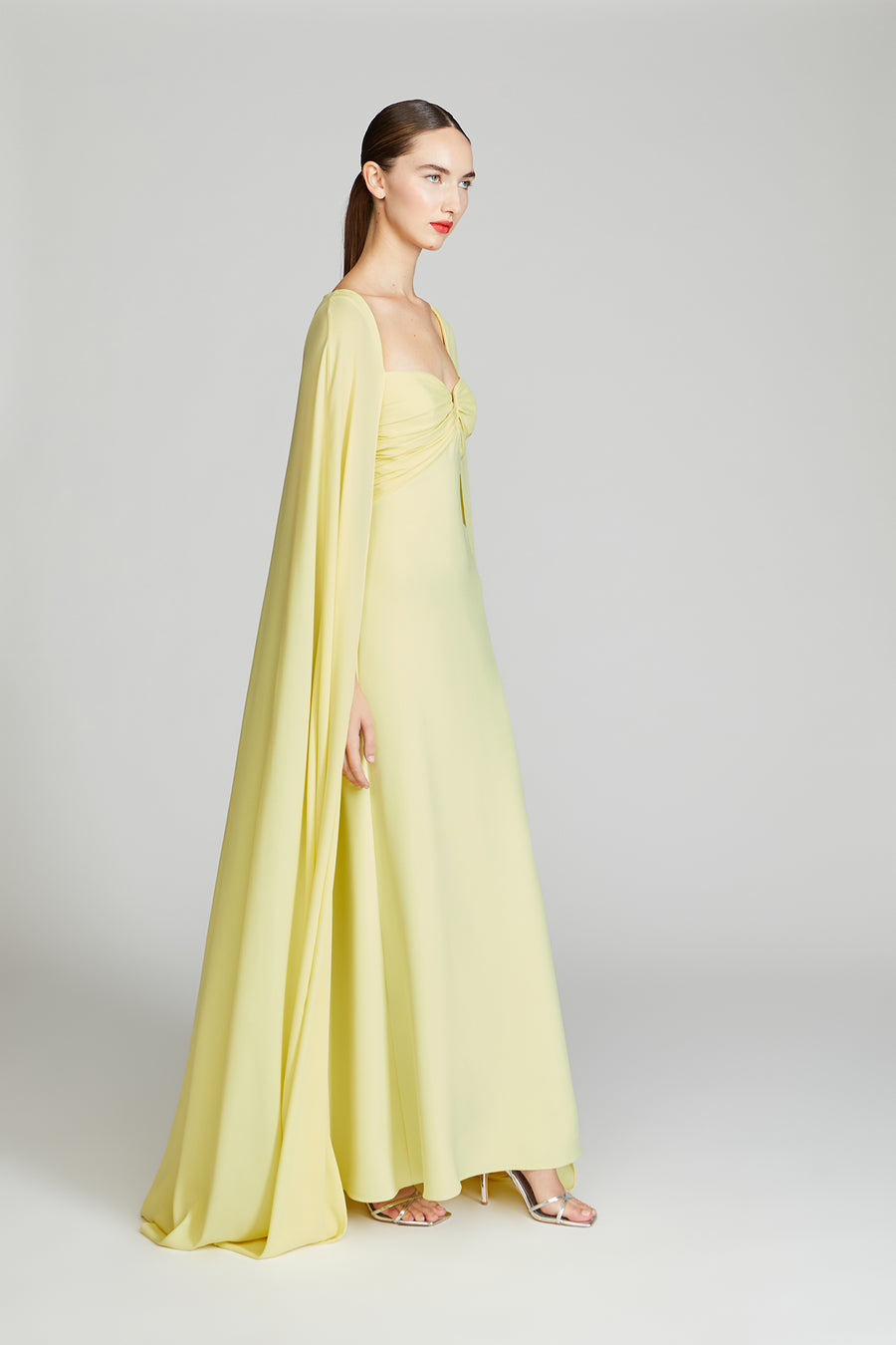 Halston Heritage Alma Crepe With Georgette Gown