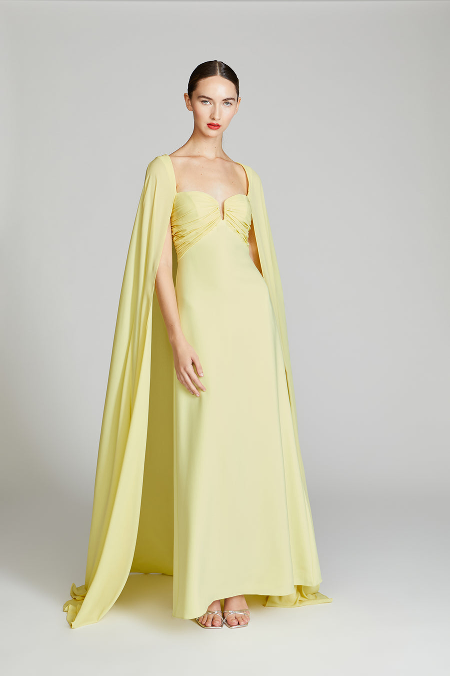 Halston Heritage Alma Crepe With Georgette Gown