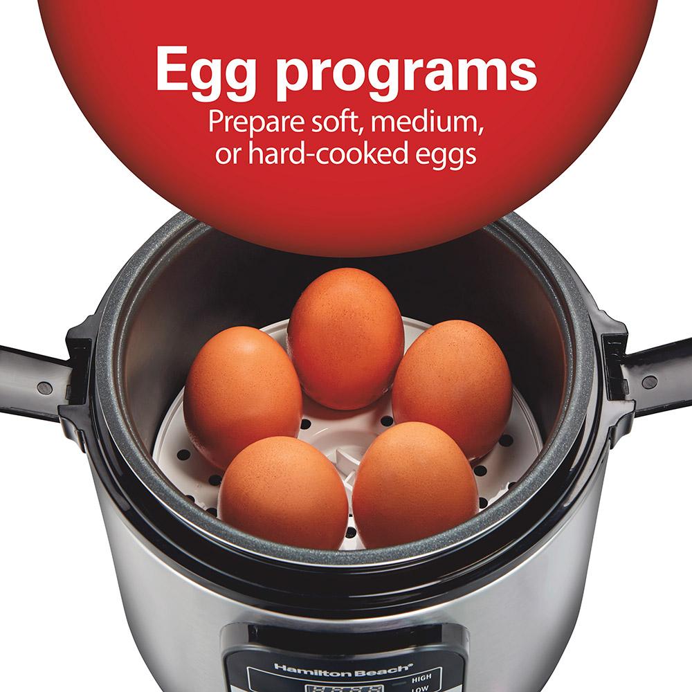 Hamilton Beach 1.5 Quart Compact Multi-Cooker