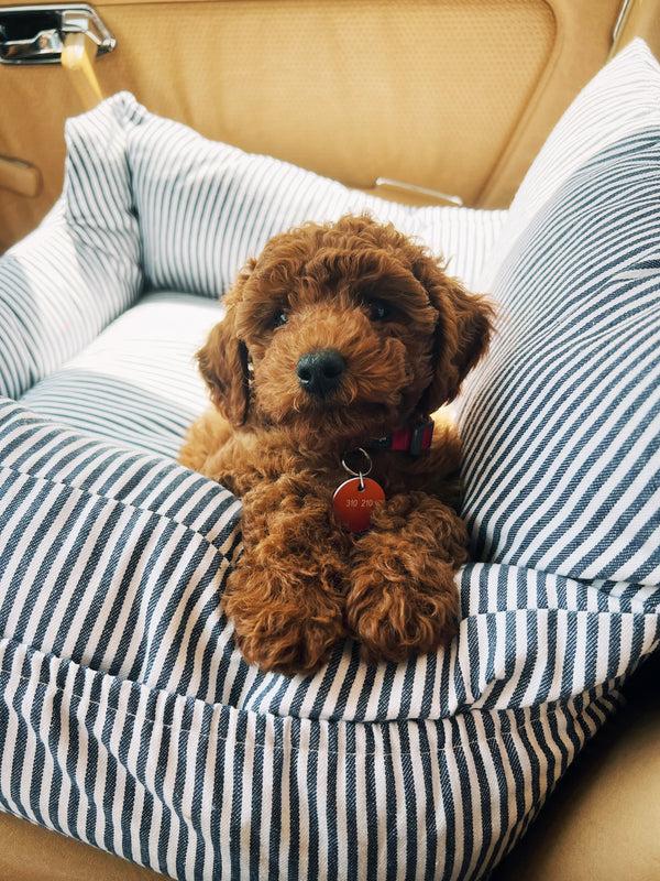 Hansel From Basel Daffodil Crew Black