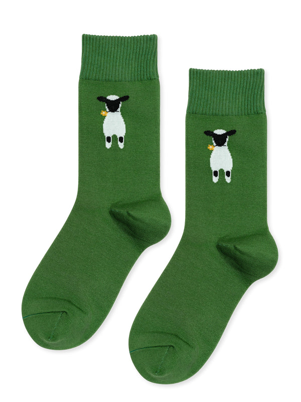 Hansel From Basel Nice To See Ewe Crew Ochre