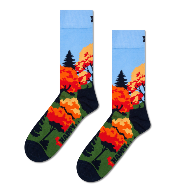 happy socks Autumn Sock